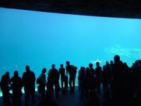 Zoos & Animal Sanctuaries