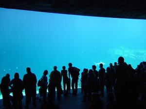 Zoos & Animal Sanctuaries